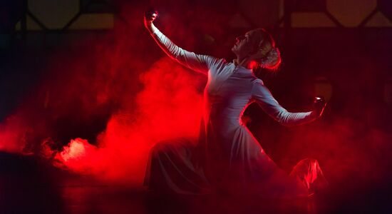 INSPIRATION - Die Show - Yenidze Theater I Foto: Roland Kersting