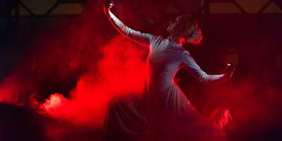 INSPIRATION - Die Show - Yenidze Theater I Foto: Roland Kersting